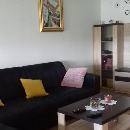 Апартаменты Apartman Lana ,Froudeova Ulica 3 Nasuprot Zg Velesajma Загреб Экстерьер фото