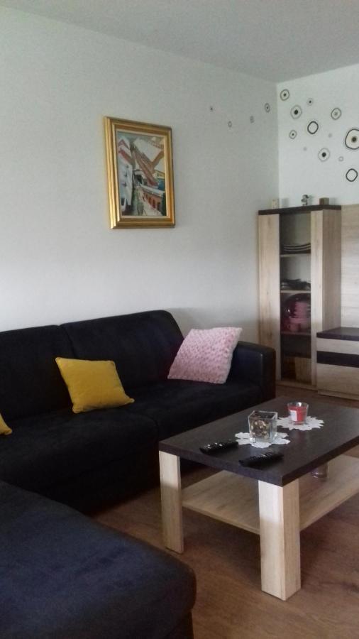 Апартаменты Apartman Lana ,Froudeova Ulica 3 Nasuprot Zg Velesajma Загреб Экстерьер фото