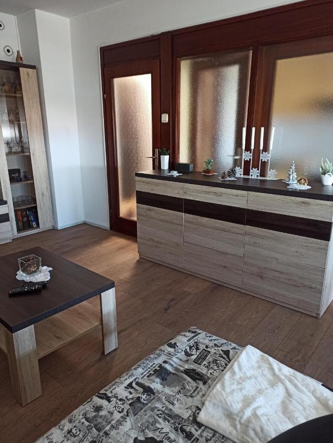 Апартаменты Apartman Lana ,Froudeova Ulica 3 Nasuprot Zg Velesajma Загреб Экстерьер фото